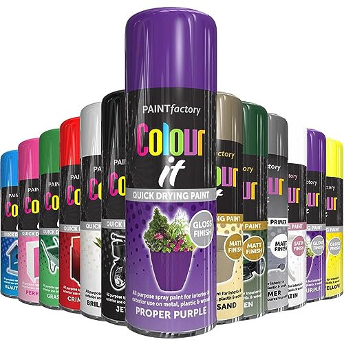 AlezyB - 1 x Proper Purple All Purpose Aerosol Spray Paint 250ml. Excellent Coverage, Quick & Fast Drying for interior & exterior Multipurpose Spray for Metal | Plastic | Wood | Glass.