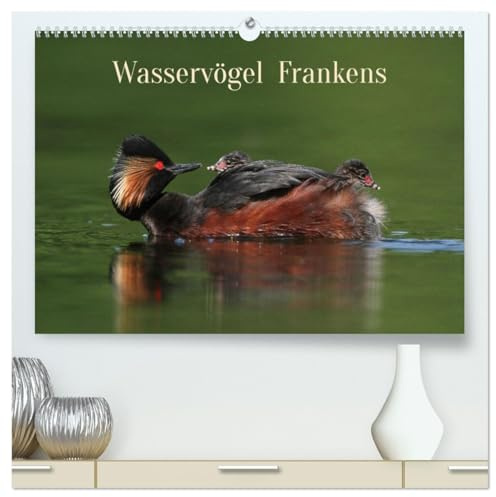 Wasservögel Frankens (hochwertiger Premium Wandkalender 2026 DIN A2 quer), Kunstdruck in Hochglanz: Die faszinierende Tierwelt in Frankens Gewässern. (CALVENDO Tiere)