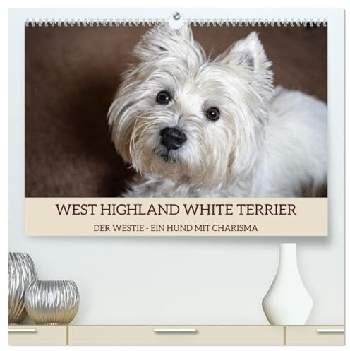 WEST HIGHLAND WHITE TERRIER - DER WESTIE - EIN HUND MIT CHARISMA (hochwertiger Premium Wandkalender 2026 DIN A2 quer), Kunstdruck in Hochglanz: ... liebevoll Westie genannt. (CALVENDO Tiere)