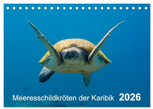 Meeresschildkröten der Karibik (Tischkalender 2026 DIN A5 quer), CALVENDO Monatskalender: Meeresschildkröten der Karibik - eine großartige Begegnung mit faszinierenden Lebewesen! (CALVENDO Natur)