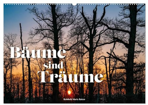 Bäume sind Träume (Wandkalender 2027 DIN A2 quer), CALVENDO Monatskalender: Bäume im Kleid der Jahreszeiten (CALVENDO Natur)