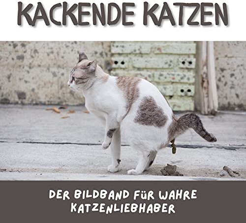 Kackende Katzen: Der Bildband für wahre Katzenliebhaber