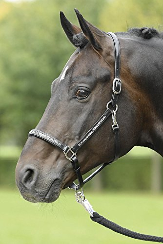 Busse Lederhalfter Glory schwarz/Strass-Multi Pony