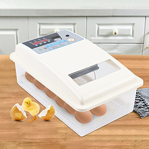 Inkubator, Vollautomatische Brutmaschine 24 Eier Brutautomat Flächenbrüter mit LED Temperaturanzeige für Geflügel Chicken Duck Bird Quail Tauben
