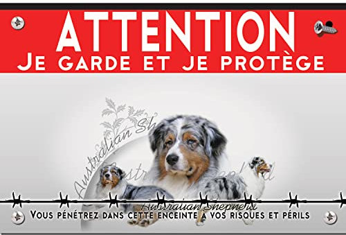Pannello in metallo Attenzione al cane pastore australiano blu