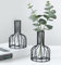 2 Stück Schwarze Blumenvase mit Metallrahmen, klares Glas, Reagenzglas, dekorativ, kleine Knospenvasen, Geschenke für Hochzeitsdekoration, Tischblumendekoration, Innendekoration, Wohnzimmerdekoration