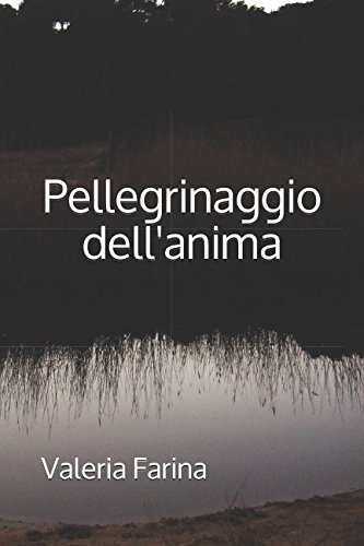 Pellegrinaggio dell'anima