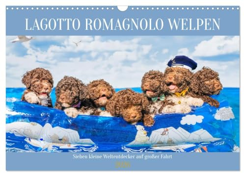 Lagotto Romagnolo Welpen - Sieben kleine Weltentdecker auf großer Fahrt (Wandkalender 2026 DIN A3 quer), CALVENDO Monatskalender: 13 traumhafte ... der Rasse durch das Jahr (CALVENDO Tiere)