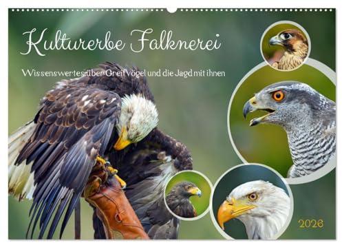 Kulturerbe Falknerei (Wandkalender 2026 DIN A2 quer), CALVENDO Monatskalender: Wissenswertes über Greifvögel und die Jagd mit ihnen (CALVENDO Tiere)