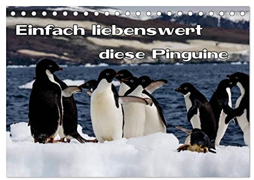 Einfach liebenswert diese Pinguine (Tischkalender 2026 DIN A5 quer), CALVENDO Monatskalender: Eine Reise zu den Frackträgern in der Antarktis (CALVENDO Tiere)