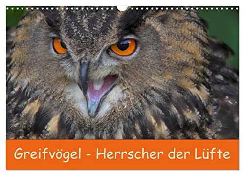 Greifvögel - Herrscher der Lüfte (Wandkalender 2026 DIN A3 quer), CALVENDO Monatskalender: Wundervolle Portrais von Greifvögeln (CALVENDO Tiere)