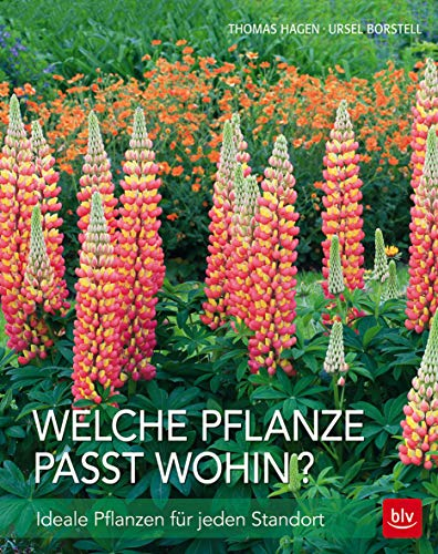 Welche Pflanze passt wohin?: Ideale Pflanzen für jeden Standort (BLV Pflanzenpraxis)