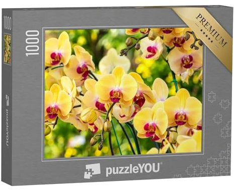 puzzleYOU: Puzzle 1000 Teile „Wunderschöne gelbe Orchidee“ – aus der Puzzle-Kollektion Orchideen
