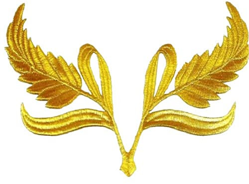 Fituenly Engel Wings Eisen Auf Patch DIY Bestickte Applikation Bling Wings Reparatur Reparatur Für Jacken T-Shirt Hut-rucksäcke Dekoration