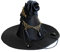 Beaupretty Hexenhut Haarspange Mini Zylinder Gothic Hexenhut Stirnband Schwarz Fascinator Hut Halloween Hexenhut Steampunk Zubehör Party Kostüm Bühnenshow Requisiten