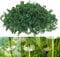 Hagmoo 200PCS Plant Support Clips,Tomato Plant Support,Plant Clips for Climbing Plants,Plant Clips for Climbing Plants Support Clips Garden Plant Supports (200, Green)