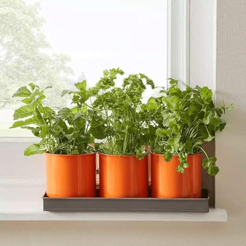 New Set of 3 Orange Windowsill Herb Planters with Pots & Seeds – Elegant Design, Includes Peat-Free Soil Pellets – Indoor Kitchen Garden Metal Herb Growing Kit M-71