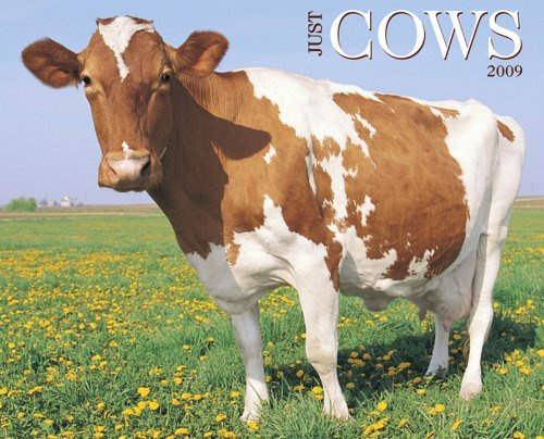 Just Cows 2009 Calendar