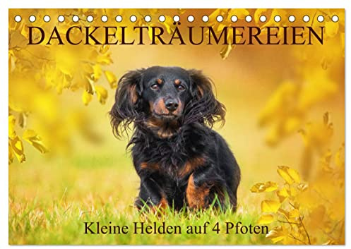 Dackelträumereien - Kleine Helden auf 4 Pfoten (Tischkalender 2026 DIN A5 quer), CALVENDO Monatskalender: Lassen Sie sich von zauberhaften ... durch das Jahr begleiten (CALVENDO Tiere)