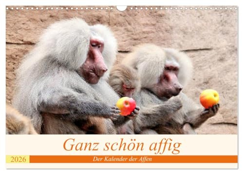 Ganz schön affig - Der Kalender der Affen (Wandkalender 2026 DIN A3 quer), CALVENDO Monatskalender: Die lustigen Gesellen im Tierreich (CALVENDO Tiere)