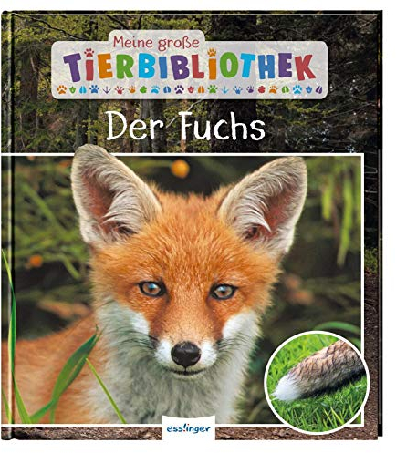 Meine große Tierbibliothek: Der Fuchs: Sachbuch für Vorschule & Grundschule