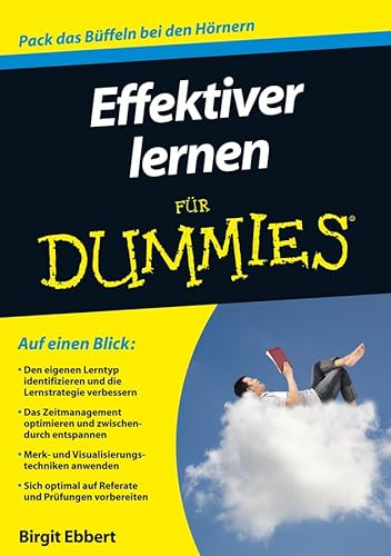Effektiver lernen für Dummies: Pack das Büffeln bei den Hörnern