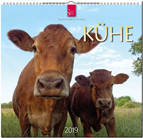 MF-Kalender KÜHE 2019