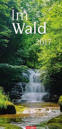 Im Wald - Kalender 2017
