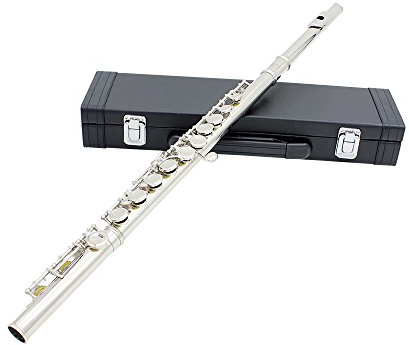 Btuty Flutes, 16 Holes C Key Western Concert Flute Woodwind Instrument with Cleaning Cloth Stick Gloves Mini Screwdriver Padded Case