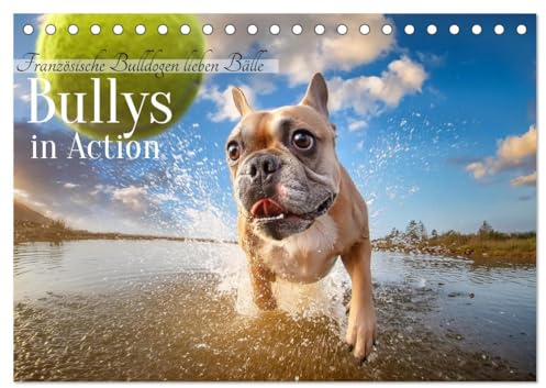 Bullys in Action - Französische Bulldoggen lieben Bälle (Tischkalender 2025 DIN A5 quer), CALVENDO Monatskalender