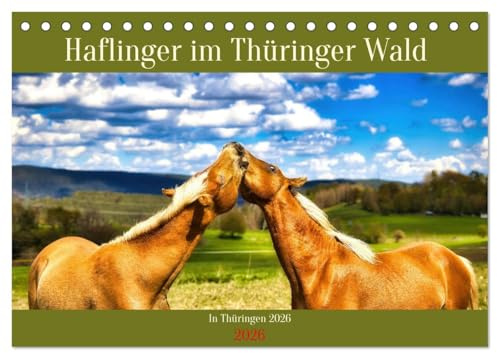 Haflinger im Thüringer Wald (Tischkalender 2026 DIN A5 quer), CALVENDO Monatskalender: Haflinger im Thüringer Wald sind eine faszinierende Kombination aus Schönheit und Robustheit. (CALVENDO Tiere)
