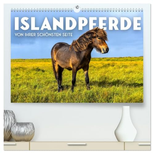 Islandpferde - Von ihrer schönsten Seite (hochwertiger Premium Wandkalender 2026 DIN A2 quer), Kunstdruck in Hochglanz: Pure Eleganz in wilder Natur. (CALVENDO Tiere)