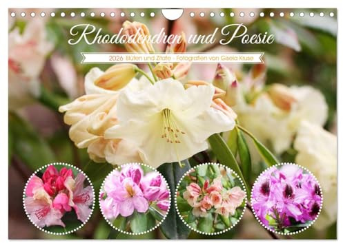 Rhododendren und Poesie (Wandkalender 2026 DIN A4 quer), CALVENDO Monatskalender: Unsere beliebtesten Blütensträucher, garniert mit Sprüchen über Blumen, Gärten und Natur (CALVENDO Natur)
