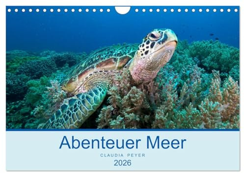 Abenteuer Unterwasser (Wandkalender 2026 DIN A4 quer), CALVENDO Monatskalender: Unterwasseraufnahmen aus den tropischen Gewässern um Indonesien (Raja Ampat), Bali und Fiji (CALVENDO Tiere)