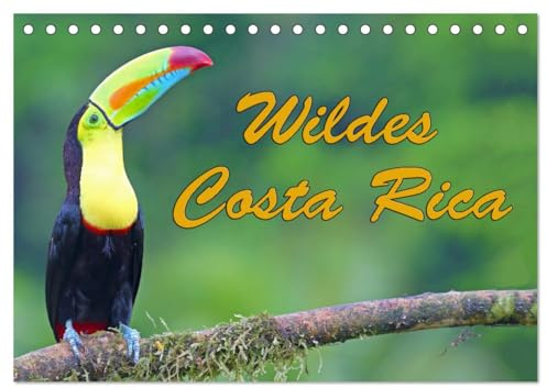 Kalender 2027 · Wildes Costa Rica | Costa Rica bezaubert mit einer bunten tropischen Tierwelt · DIN A5 quer · CALVENDO Tischkalender