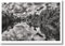 Sebastião Salgado. Amazônia. Poster ‘Jau River’