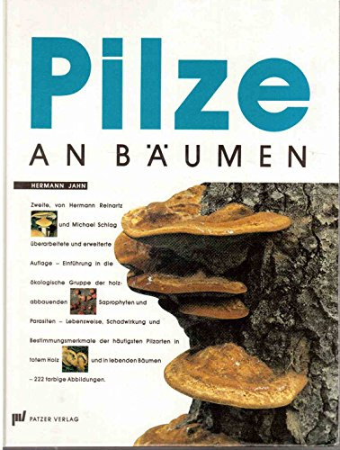 Pilze an Bäumen. Saprophyten und Parasiten, die an Holz wachsen