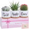 TuDou Gifts for Auntie, Birthday Gifts for Aunt from Niece Nephew, Unique Best Auntie Ever Ceramic Succulent Pots Planter Gifts for Any Occasion, Christmas for Aunt with Exquisite Box
