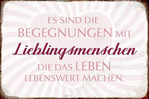 Hochwertiges Holzschild 30x20 x1cm Spruch: Es sind die Begegnungen mit Lieblingsmenschen die das Leben lebenswert machen - DekoNo7