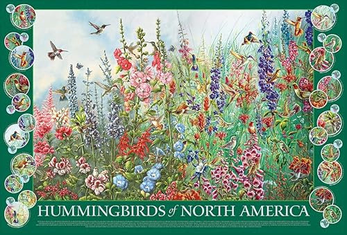 Cobble Hill 2000 Teile Puzzle – Kolibris von Nordamerika – Musterposter im Lieferumfang enthalten