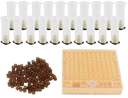 Tyenaza Kit di Allevamento Dell'ape Regina, Gabbia per Scatola di Allevamento Dell'ape Regina Kit di Tazze per Celle di Allevamento in Plastica Forniture per Attrezzature per L'apicoltura