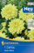 Kiepenkerl Dekorative Dahlie Go Go Yellow 721548 - Mehrjährige Blumenzwiebeln für Dahlien mit großen Blüten für Hochbeete und Kübel - Blumen, Dahlien Knollen