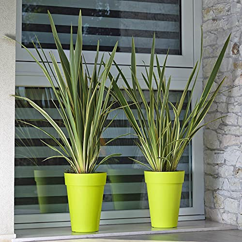 Unbekannt Pflanzkübel Liken apfelgrün D 34 x H 46 cm