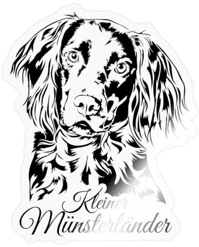Kleiner Münsterländer Hund Jagdhunde Sticker Aufkleber