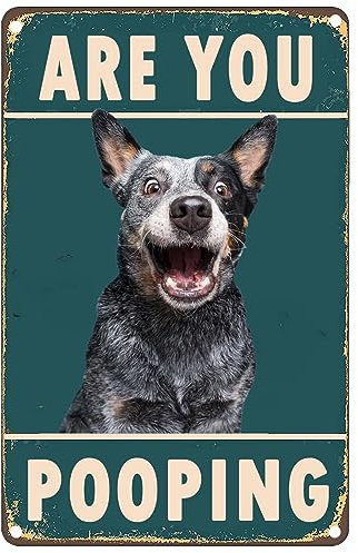 Are You Pooping Funny Retro Vintage Metal Plaque Sign S Dog Decor Vintage Bathroom Home Restroom Toilet Bath Signs Wall Decor For Home Gate Garden Bars Cafes Office Store Club Gift Plaque 14x20cm