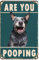Are You Pooping Funny Retro Vintage Metal Plaque Sign S Dog Decor Vintage Bathroom Home Restroom Toilet Bath Signs Wall Decor For Home Gate Garden Bars Cafes Office Store Club Gift Plaque 14x20cm