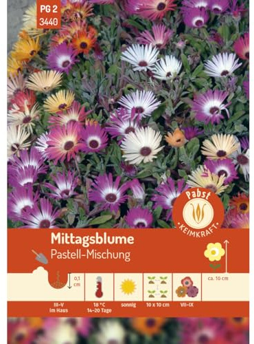 Pabst Keimkraft - Mittagsblume Pastell-Mischung Samen - 173440