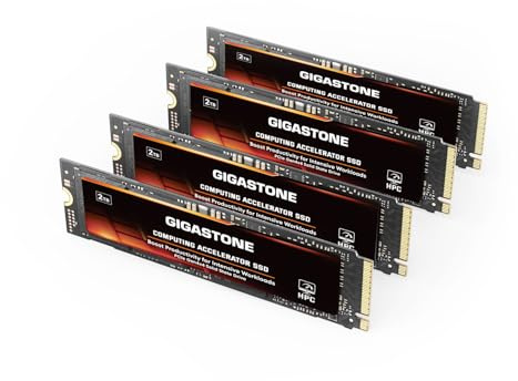 Gigastone HPC Computing SSD 2To (Lot de 4) NVMe M.2 Gen4 jusqu'à 5,000 Mo/s PCIe 4.0x4 M.2 2280 Host Memory Buffer Cache de Vitesse Big Data Charges de Travail intensives, Disque Dur SSD Interne