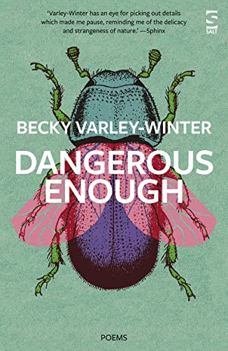 Dangerous Enough (Salt Modern Poets)