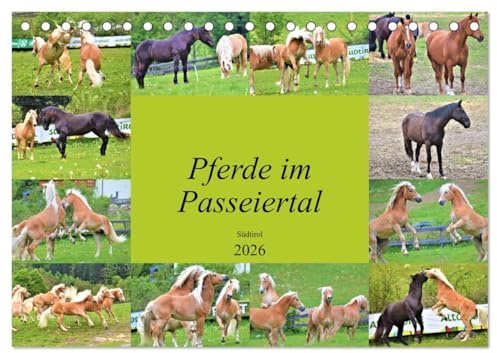 Pferde im Passeiertal (Tischkalender 2026 DIN A5 quer), CALVENDO Monatskalender